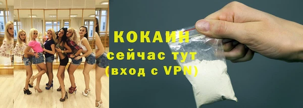 гашик Богородск