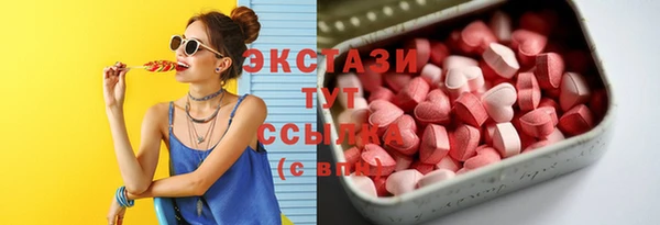 гашик Богородск